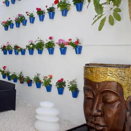 Casa Patio Palmeras 2 Cordoba